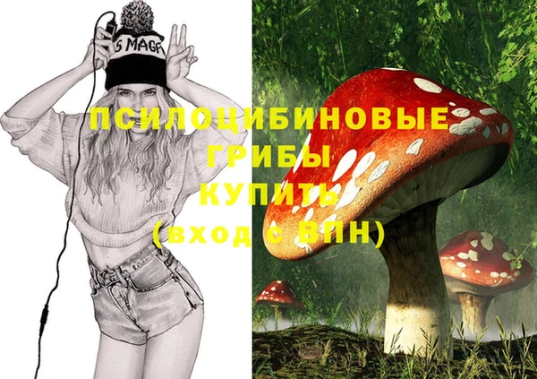 МДПВ Новозыбков