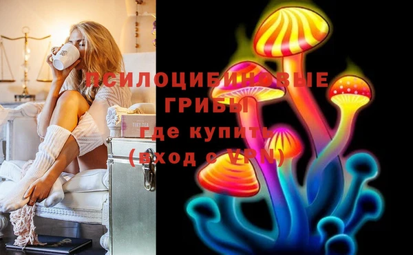 дживик Нея