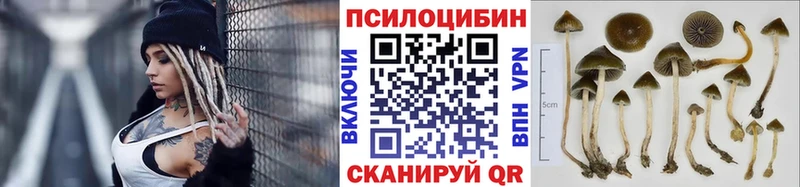 купить   МЕГА tor  Псилоцибиновые грибы мухоморы  Тосно 