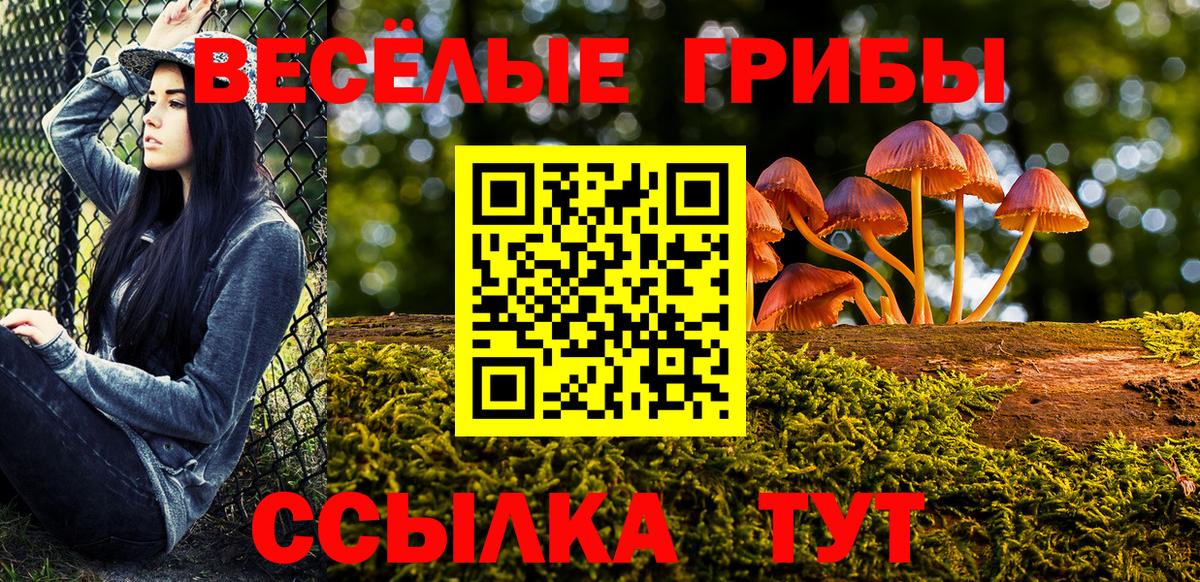 Псилоцибиновые грибы Psilocybine cubensis  Вход с VPN  Псилоцибиновые грибы ЛСД  Тосно 